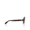 Roller Lb0005 – Solglasögon – Acetat – Mörk havanna Roller Lb0005 – Solglasögon – Acetat – Mörk havanna